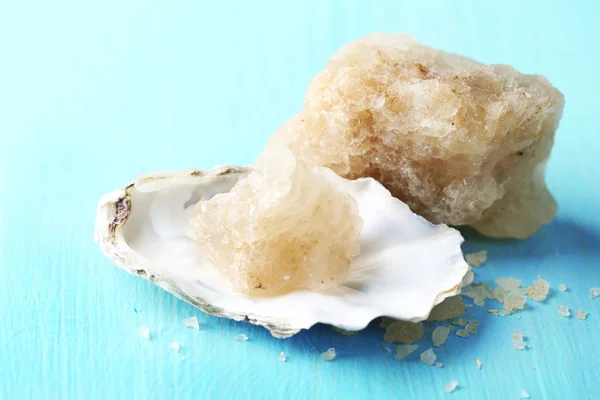 Crust of sea salt — Stock Photo, Image