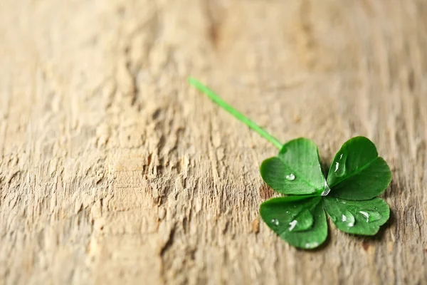 Hoja de trébol verde con gotas sobre fondo de madera —  Fotos de Stock