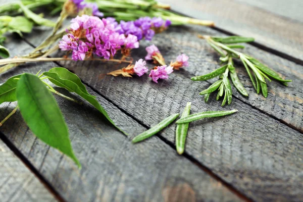 Green herbs and leaves on wooden  table, closeup — Stock Photo, Image