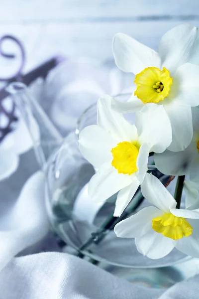 Färska narcisser blommor på bricka, närbild — Stockfoto