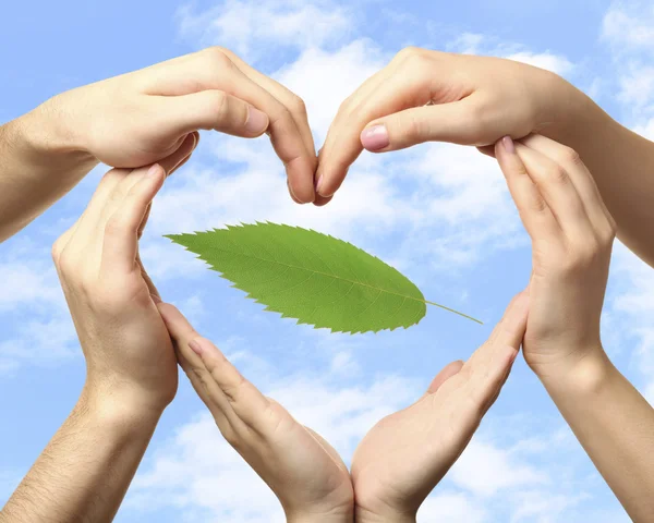 Hands with green leaf — Stock Photo, Image