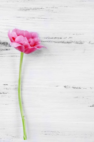 粉色郁金香木桌背景 — 图库照片