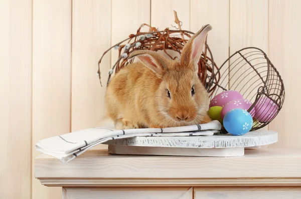 Mignon lapin rouge avec des œufs de Pâques sur étagère sur fond mural en bois — Photo