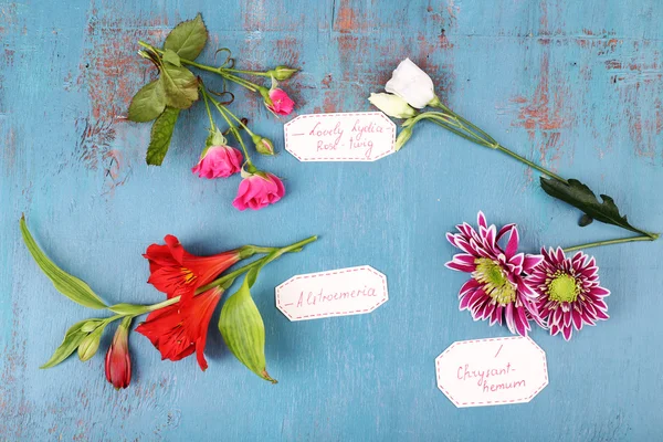 Διαφορετικά λουλούδια με ετικέτες σε ξύλινα φόντο — Φωτογραφία Αρχείου