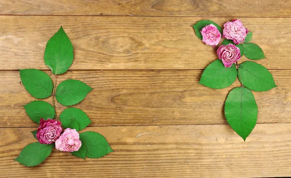 Schöne trockene Blumen und Blätter auf Holzgrund — Stockfoto