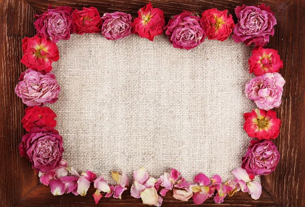 Rahmen aus schönen trockenen Blumen mit Rahmen in Nahaufnahme — Stockfoto