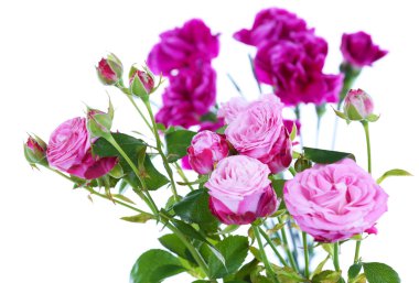 Güzel çiçekler kapanıyor.