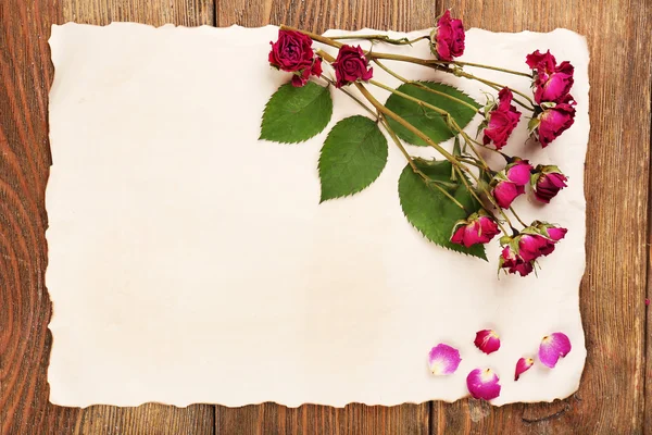 Torkade blommor på papper bakgrund — Stockfoto