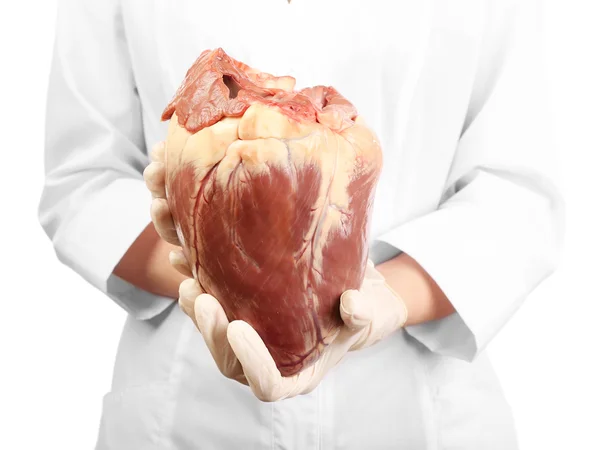 Woman holding raw animal heart isolated on white — Stock Photo, Image