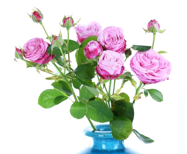 Piękne róże w wazonie na białym tle — Zdjęcie stockowe