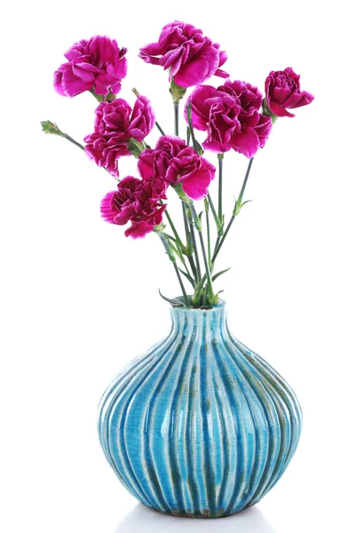 Beautiful cloves in vase isolated on white — Stock Photo, Image