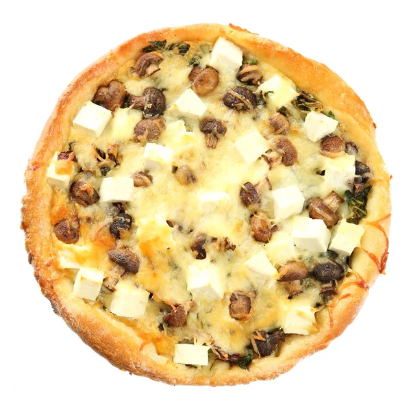 Kaas met champignons, kruiden en zure crème, geïsoleerd op wit — Stockfoto