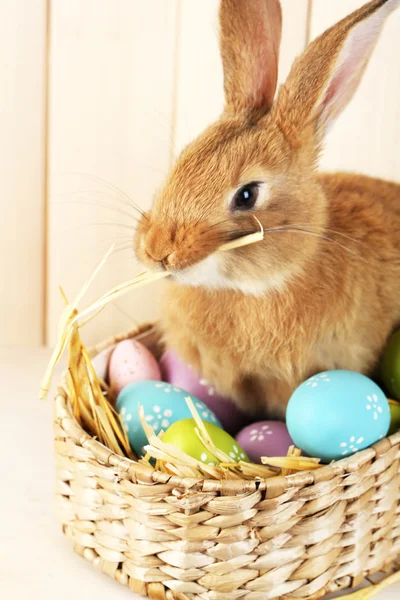 Mignon lapin rouge avec des œufs de Pâques sur étagère sur fond mural en bois — Photo