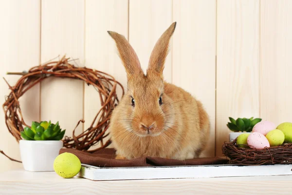 Niedliche rote Kaninchen mit Ostereiern im Regal auf hölzernem Wandhintergrund — Stockfoto