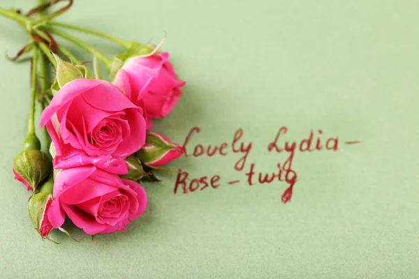 Vackra rosiga kvist med inskription på papper bakgrund — Stockfoto