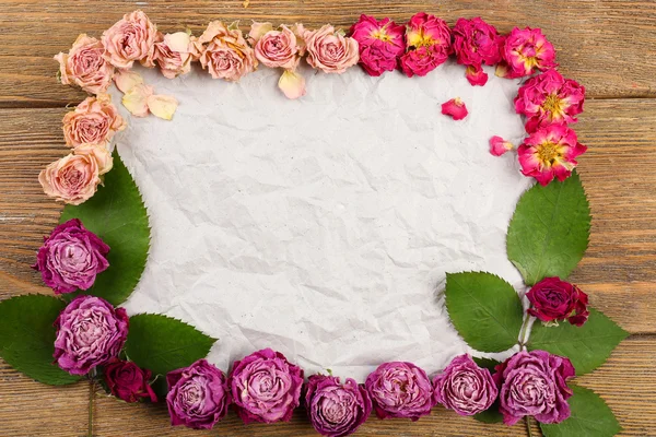 Dried flowers on sheet of paper — Stock Photo, Image