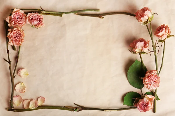 Kağıt arka plan üzerinde kuru çiçekler — Stok fotoğraf