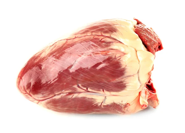 Raw animal heart — Stock Photo, Image