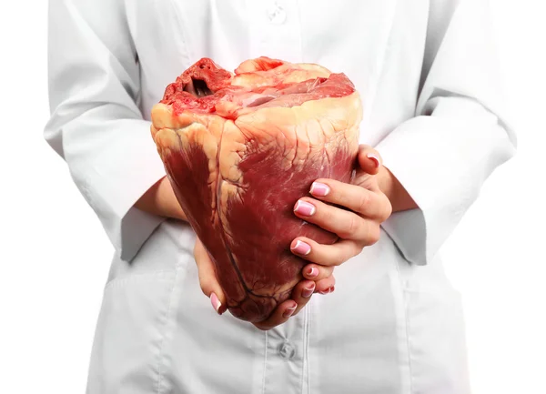 Mujer sosteniendo corazón animal crudo —  Fotos de Stock