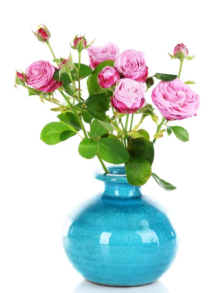 Beautiful roses in vase isolated on white — Stock Photo, Image