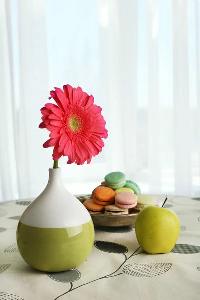 Color gerbera flower in vase