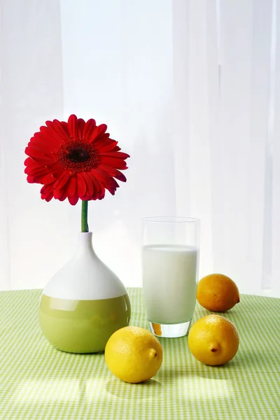 Bardak süt ve limon tablo perdeleri arka plan üzerinde renkli gerbera — Stok fotoğraf