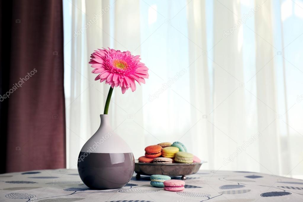 Color gerbera flower in vase