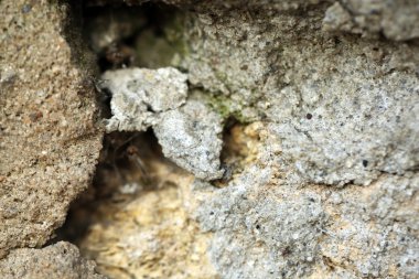 Çimento dokulu duvar arka plan