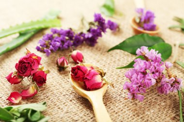 Yeşil otlar ve çul, closeup yapraklarda