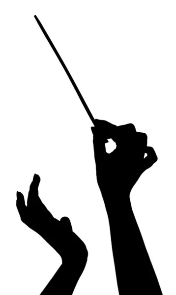 Music conductor hands with stick isolated on white — Stock Photo, Image