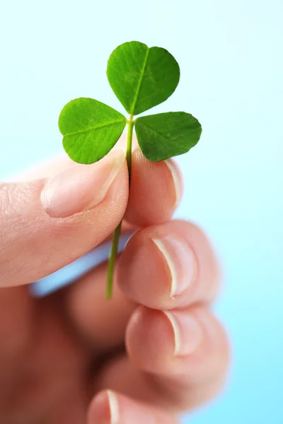 Vrouwelijke hand met groene klaver blad op hemelachtergrond — Stockfoto