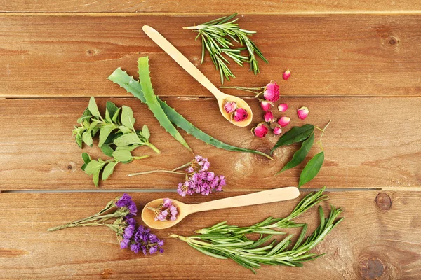 Green herbs and leaves on wooden  table, top view — Stock Photo, Image