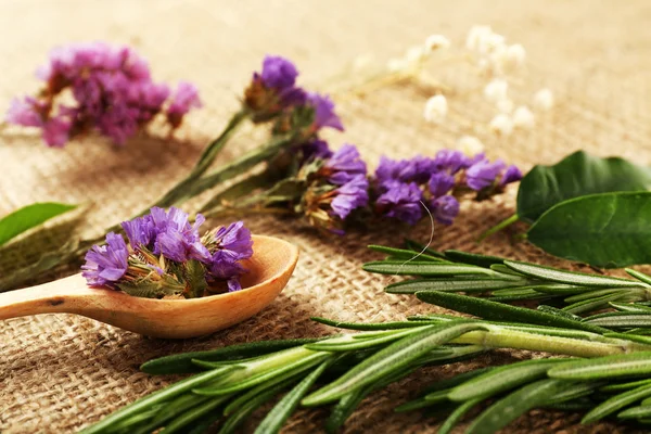 Green herbs and leaves on sackcloth, closeup — Stock Photo, Image