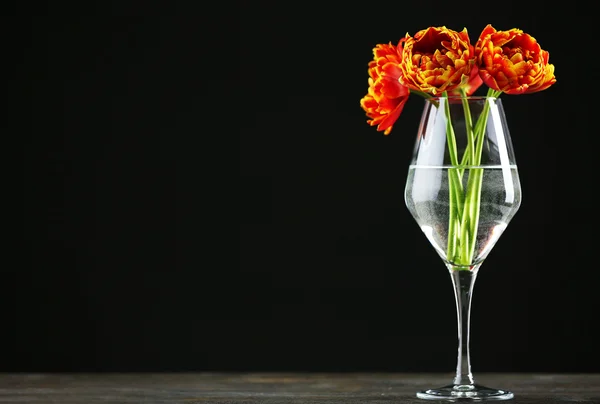 Hermosos tulipanes naranjas en jarrón de vidrio sobre fondo negro — Foto de Stock