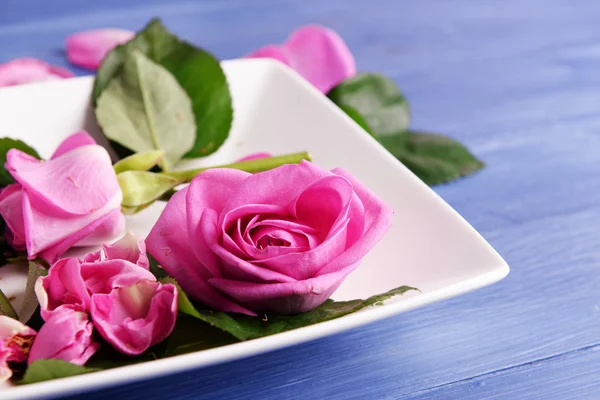 Hermosas rosas rosadas en plato blanco sobre mesa de madera, primer plano —  Fotos de Stock