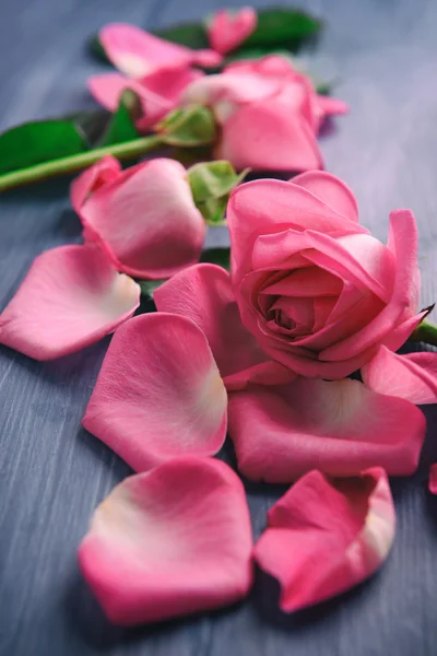 Vacker rosa kronblad av rosor på färg träbord, närbild — Stockfoto