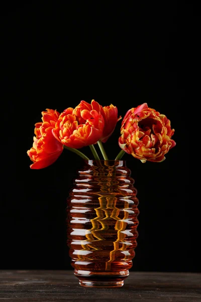Linda tulipas laranja em vaso de vidro no fundo preto — Fotografia de Stock