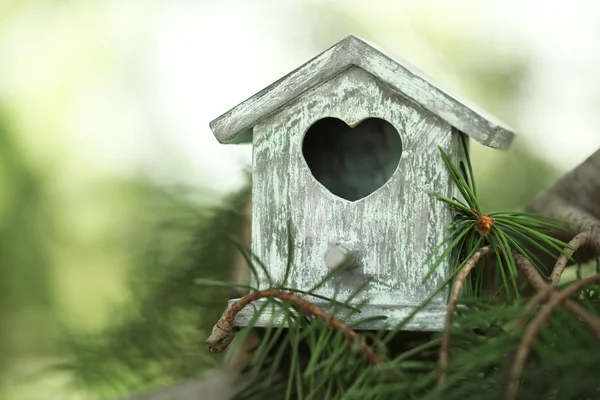 Decorative nesting box on branch, on green background — Stock Photo, Image