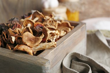 Sandık, closeup kurutulmuş mantar