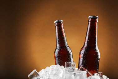 Cam şişe bira buz küpleri renk arka plan üzerinde