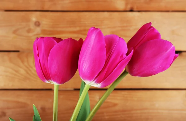 Hermosos tulipanes sobre fondo de madera — Foto de Stock