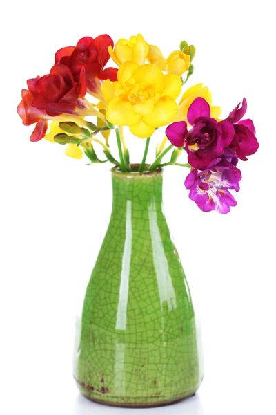 白で隔離される花瓶に美しいフリージア — ストック写真