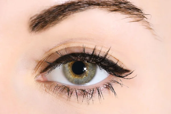 Human eye close up — Stock Photo, Image