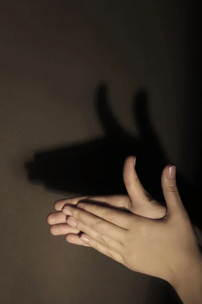 Shadow of female hands forming animal face on dark background — Stock Photo, Image