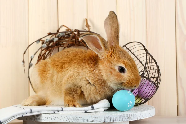 Cute red rabbit with Easter eggs on shelf on wooden wall background — Stock Photo, Image