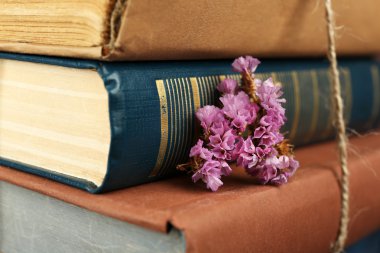 Kuru çiçekler ile kitap yığını kapat