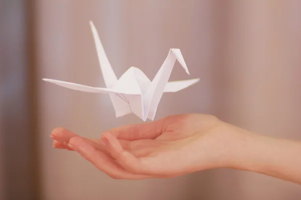 Female hand with paper crane on blurred background — Stock Photo, Image