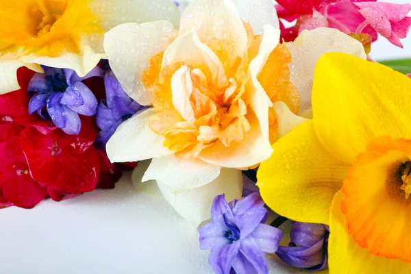 Beautiful bouquet of bright flowers close up — Stock Photo, Image