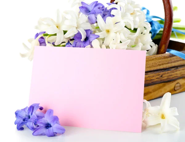 Hortênsia bonita em cesta de madeira com cartão de perto — Fotografia de Stock