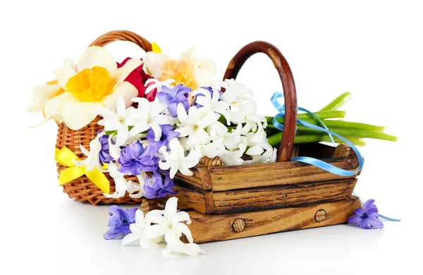 Mooie bloemen in houten manden geïsoleerd op wit — Stockfoto